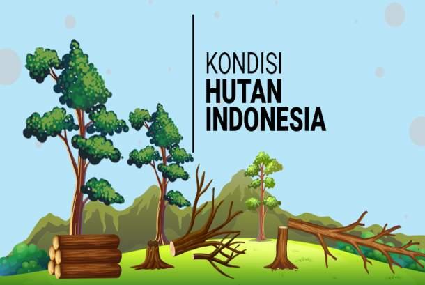 314 Ha Lahan Dalam Kawasan Hutan di Kampar Jadi Lahan Sawit, PETIR Surati Camat Penerbitan SKGR