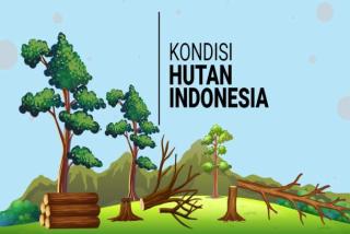 314 Ha Lahan Dalam Kawasan Hutan di Kampar Jadi Lahan Sawit, PETIR Surati Camat Penerbitan SKGR