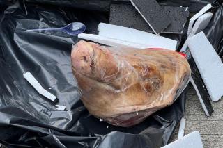 Teror Orang Tak Dikenal, Kantor Media Tempo Dikirimi Kepala Babi